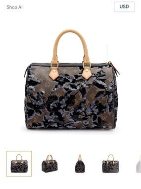 Louis Vuitton Brown Monogram Coated Canvas, Velvet and Sequin Speedy 2010